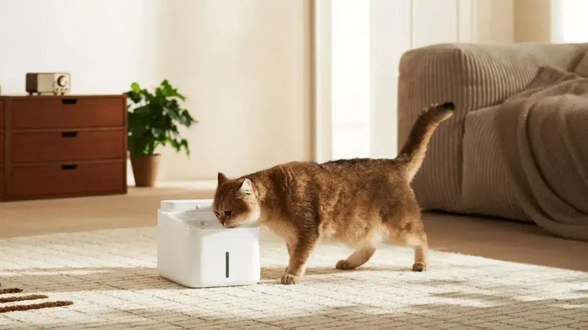 Bebedouro Inteligente Xiaomi: Praticidade vs. Custo para seu Pet
