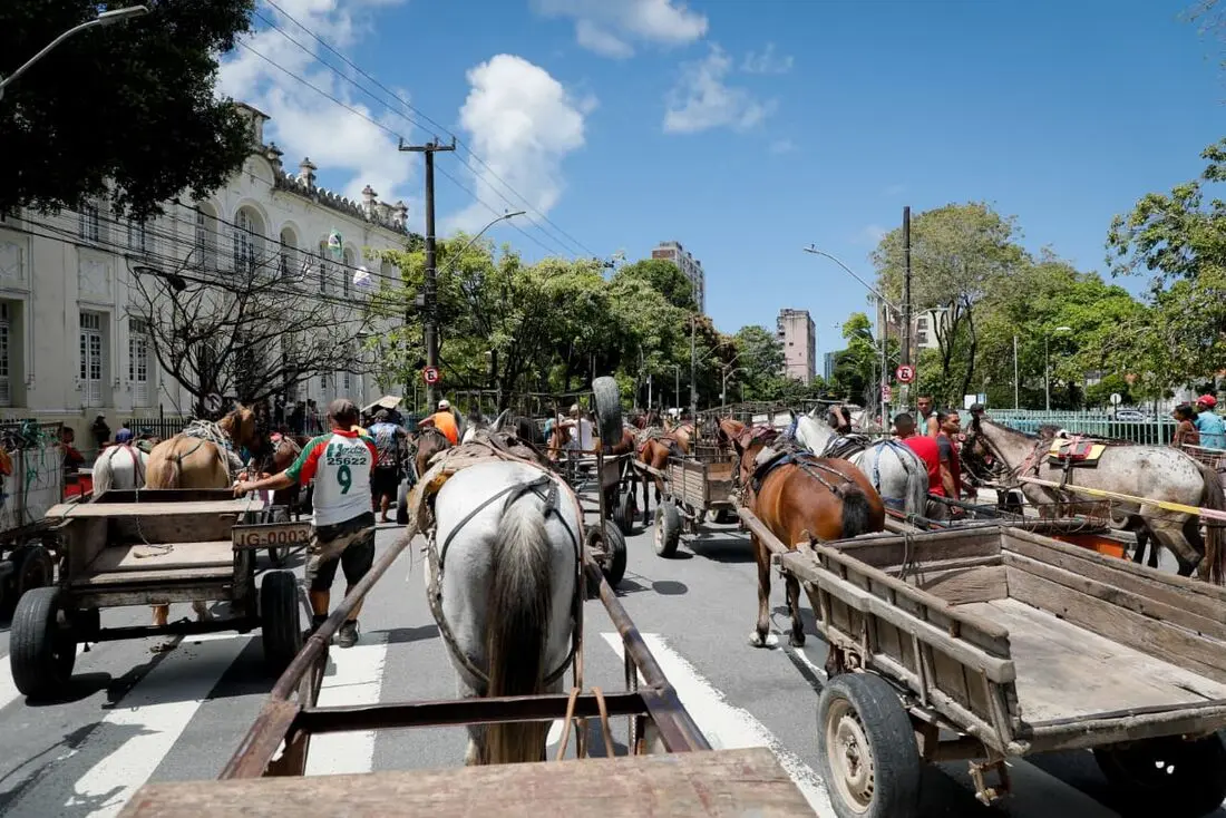 Recife troca carroças por bicicletas elétricas em programa inovador