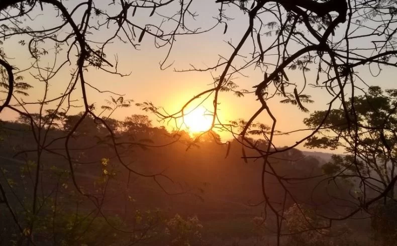 Calor Extremo em Araraquara: Sábado com Sol e Temperatura Alta