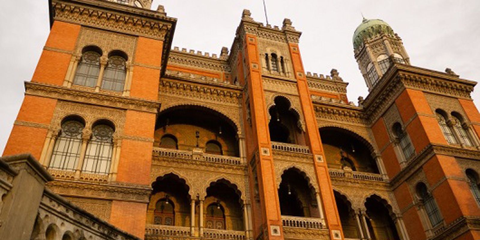 Fiocruz Inicia Testes Inéditos para Atrofia Muscular Espinhal Tipo 1