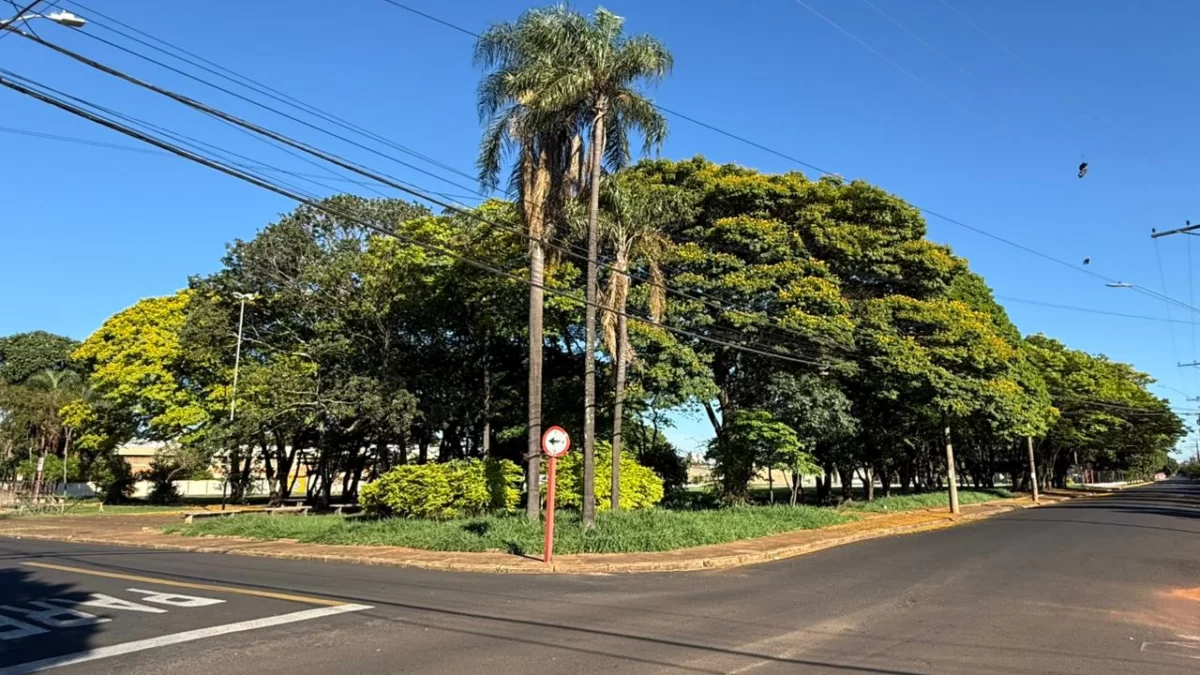 Tempo Firme: Sol e Calor Marcam Feriado em Araraquara