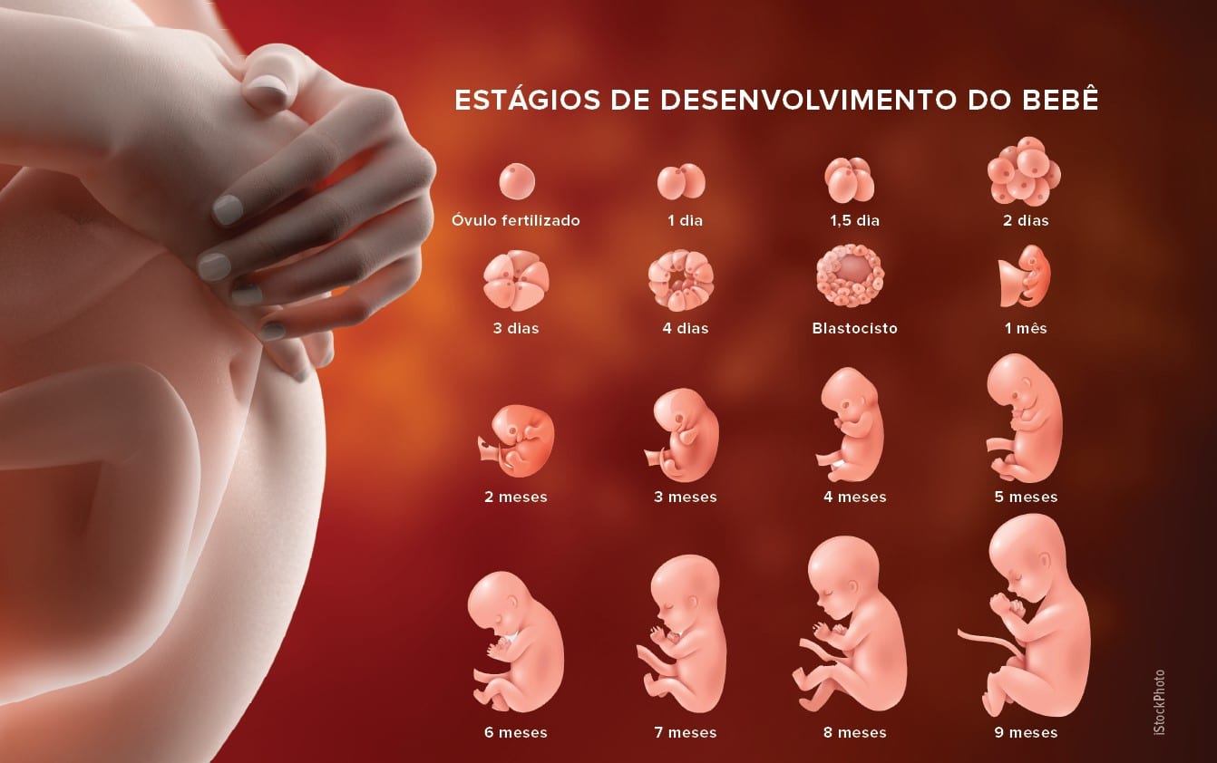 CNBB questiona votos de ministros do STF em ação sobre aborto