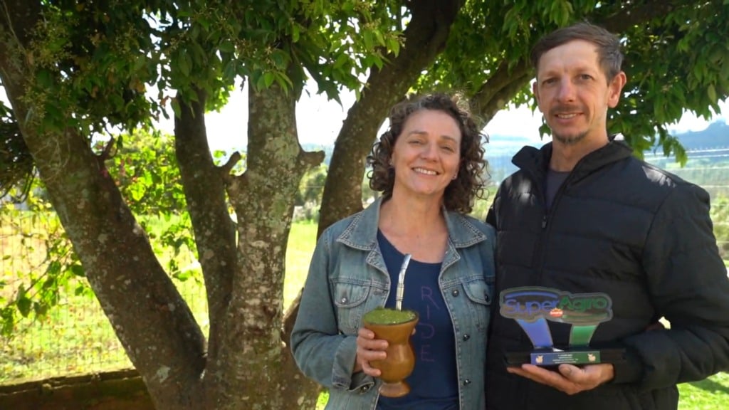 Suinocultura: Legado de família Gaúcha conquista aprovação