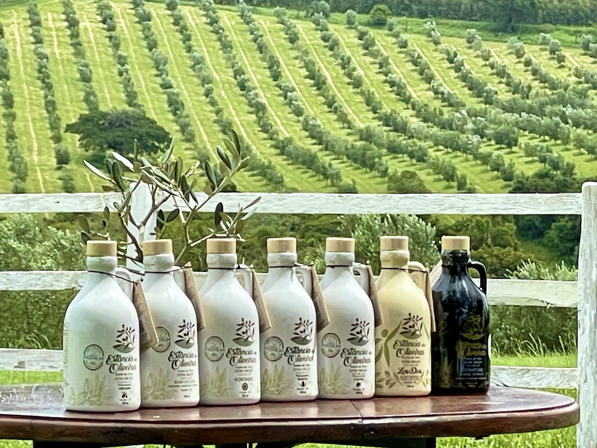 Azeite Gaúcho Brilha: Marca Familiar é Top 3 Mundial