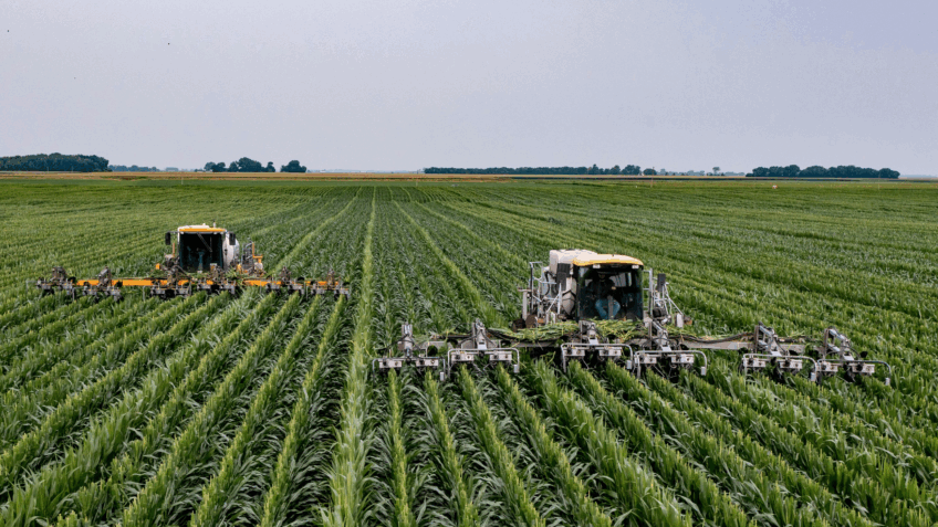 Agricultores: UE Facilita Normas Agrícolas Após Protestos