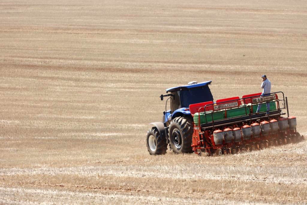 Plantio na Argentina: Ritmos Divergentes em Milho, Soja e Trigo