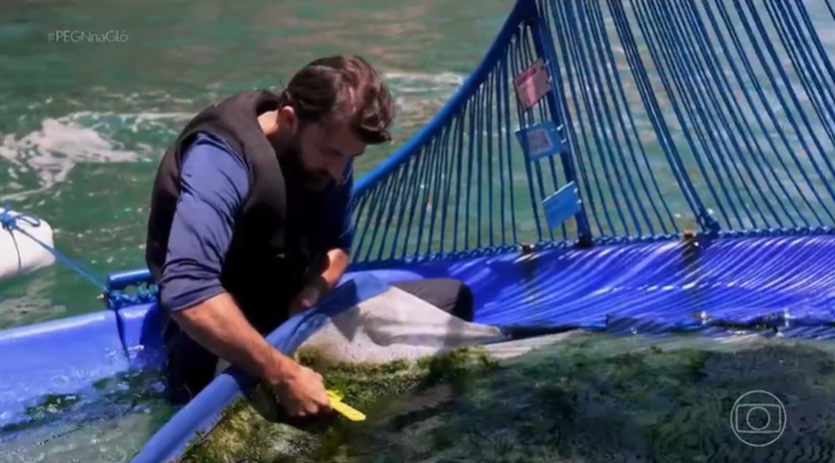 Caravelas Ecológicas: Startup Brasileira Inova na Limpeza de Rios