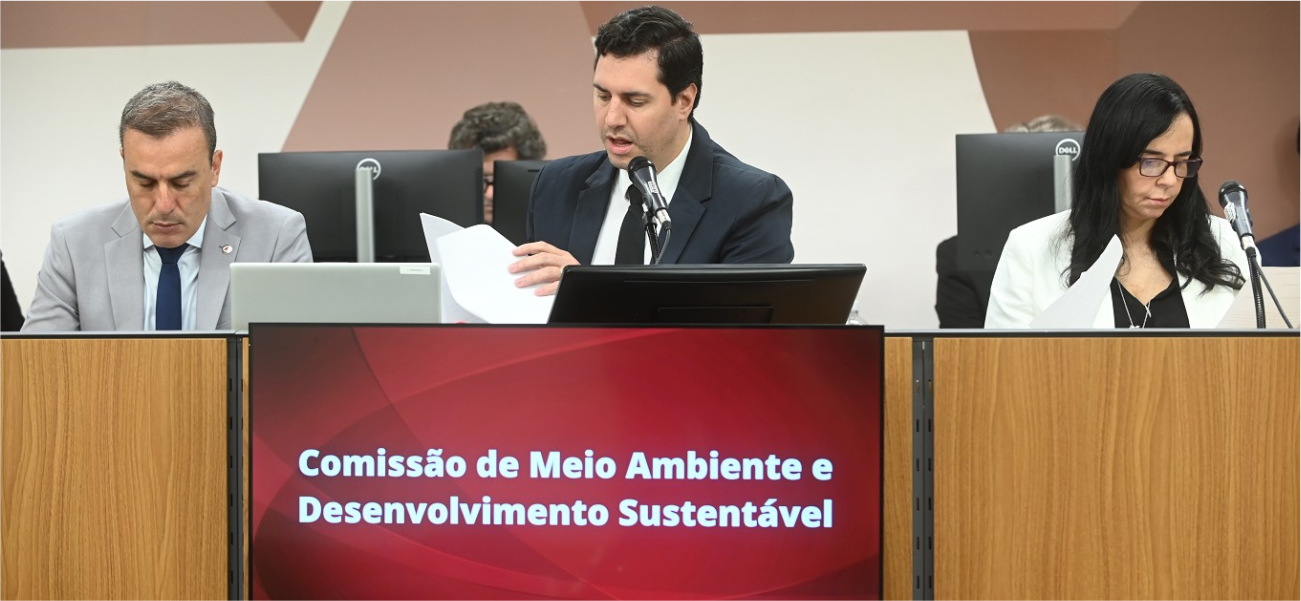 Projeto de Lei para Pets busca proteger animais durante transporte