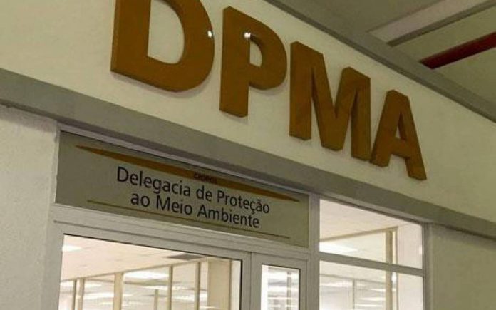 Polícia Desmantela Torneio Ilegal de Canto de Pássaros em NI