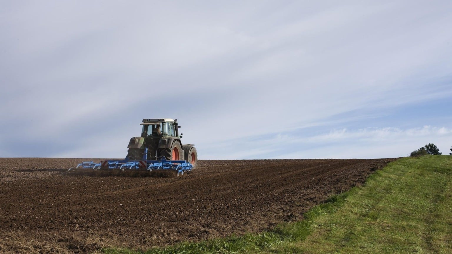 Agro Sustenta PIB Estável: Crescimento de 10,1% Impulsiona Economia no Terceiro Trimestre