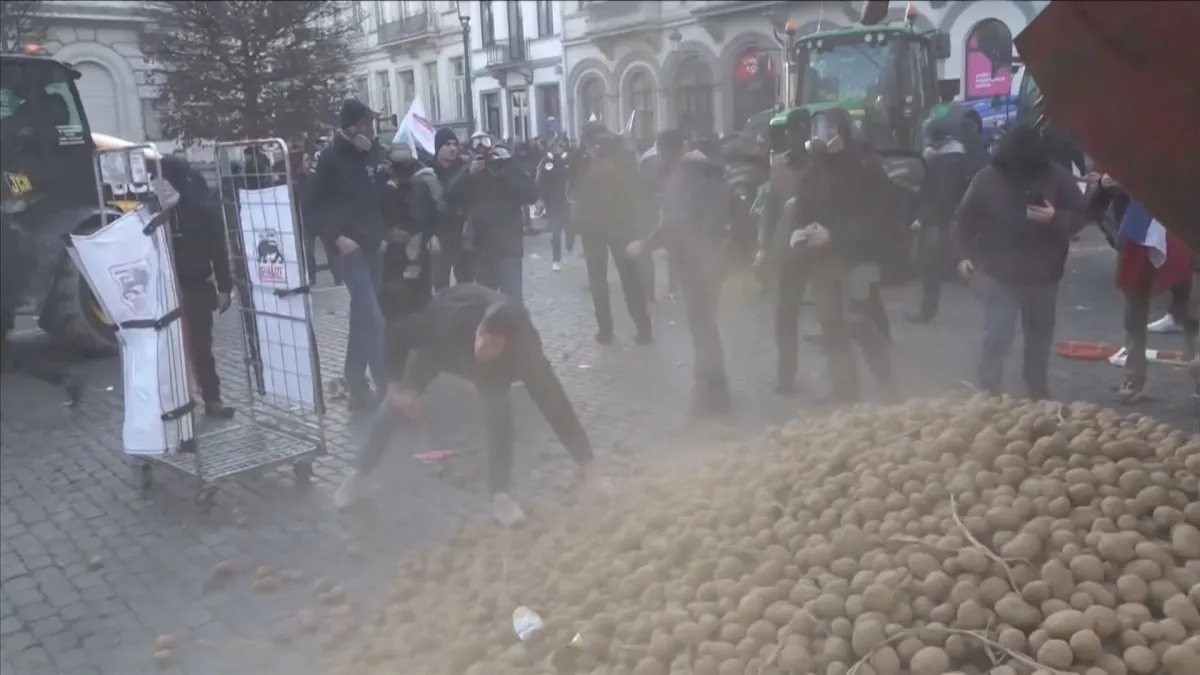 protesto em Bruxelas: agrários jogam batatas por pacto Mercosul