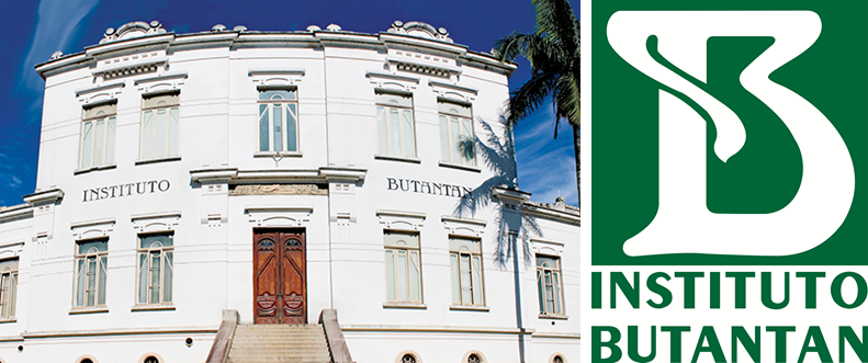 Vacina do Butantan promete revolucionar combate à dengue