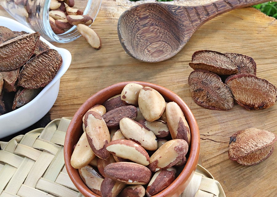 Farinha de Castanha-do-Brasil Supera Trigo em Proteína e Impulsiona Alternativas Veganas