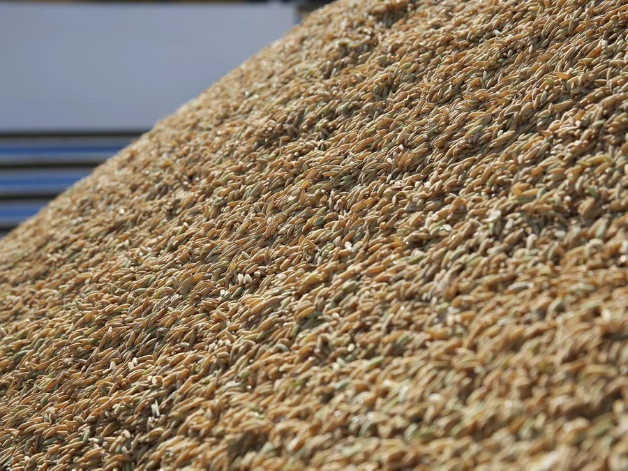 Agronegócio Gaúcho Monitora Efeitos da Crise na Venezuela