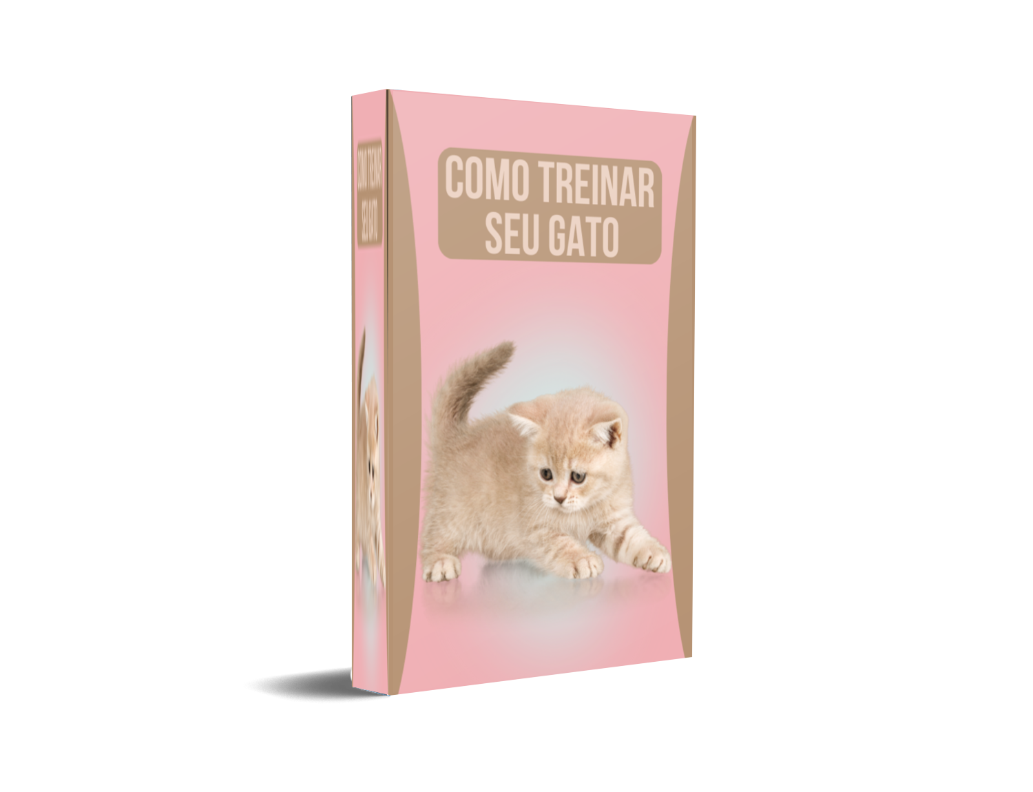 E-book Como treinar seu gato