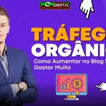 Tráfego Orgânico Como Aumentar no Blog Sem Gastar Muito