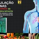 Melhore Sua Circulação com o Ebook da WCDigital!