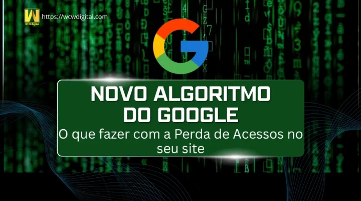 Novo Algoritmo do Google: O que fazer com a Perda de Acessos